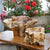 Garden Age Supply Habini Erosion Wood Bowls - Set Of 2 | Decorative Bowls | Modishstore