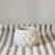 HomArt Sago Cement Planter - Set of 4-6