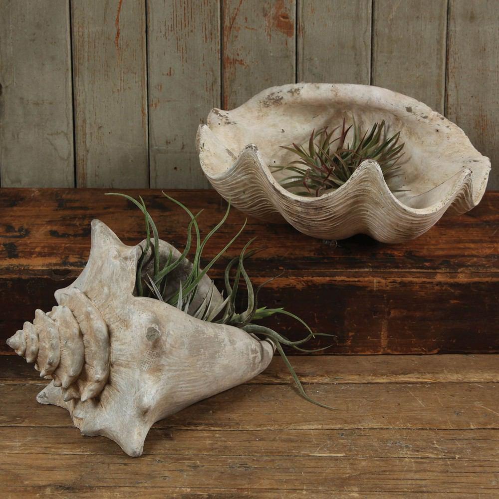 HomArt Cement Cast Clam Shell - Antique White - Set of 2 - Feature Image | Modishstore | Home Accents