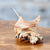Garden Age Supply Stingray - Set Of 2 | Animals & Pets | Modishstore