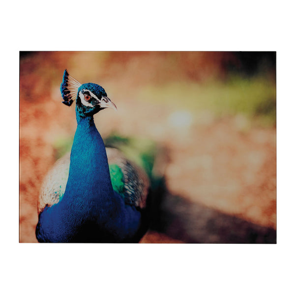 ELK Lighting Min 2-Peacock Photograph Printed On Glass Wall Art, ELK Lighting, - Modish Store | Modishstore | Wall Art