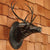 HomArt Reclaimed Metal Buck - Wall Mount - Feature Image | Modishstore | Trophy Head