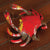 HomArt Reclaimed Metal Ornament - Crab - Set of 4-4
