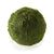 Moss Sphere by Accent Decor