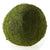 Moss Sphere by Accent Decor