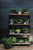Parksdale Collection Shelf by Accent Decor