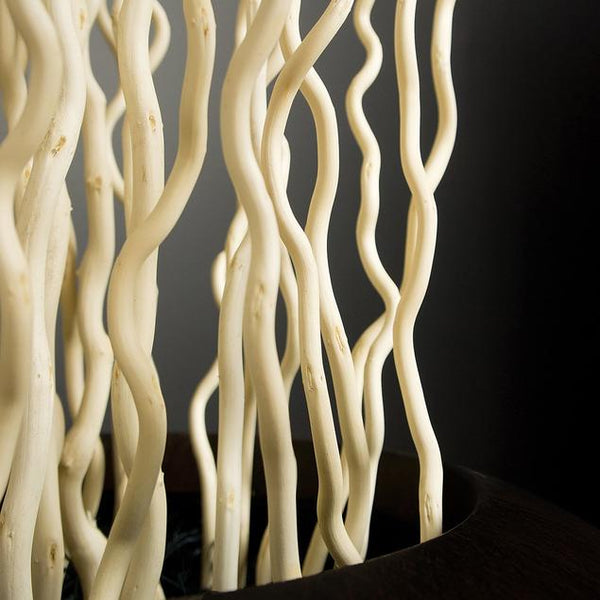 Gold Leaf Design Group Bleached Kuwa in Rectangle Planter | Botanicals | Modishstore-3