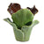 A&B Home Cabbage Decorative Vessel 