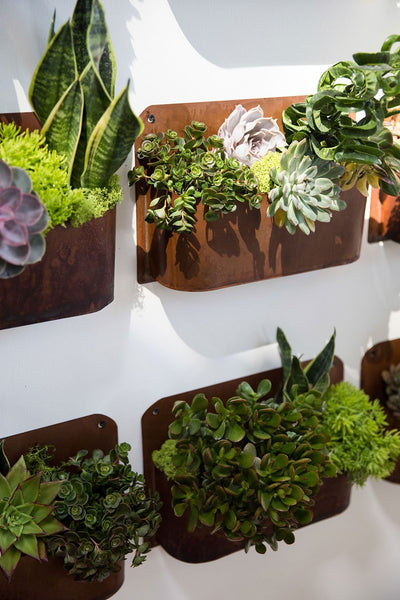 Rust Wall Planter by Accent Decor (Set of 8)