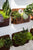 Rust Wall Planter by Accent Decor (Set of 8)