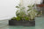 Carbon Collection Planter Set of 6 by Accent Decor