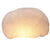 A&B Home Ctenella Coral LED Shade Accent