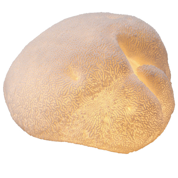 A&B Home Ctenella Coral LED Shade Accent