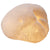 A&B Home Ctenella Coral LED Shade Accent