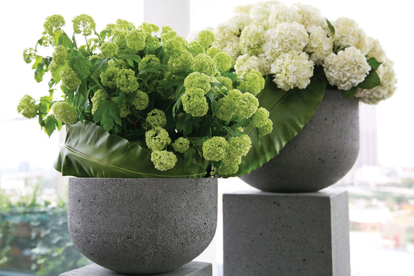 Mortar Planter by Accent Decor