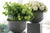 Mortar Planter by Accent Decor