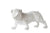 A&B Home Glossy White Dog