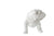 A&B Home Glossy White Dog