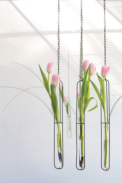 Estilo Hanger Set of 12 by Accent Decor