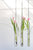 Estilo Hanger Set of 12 by Accent Decor