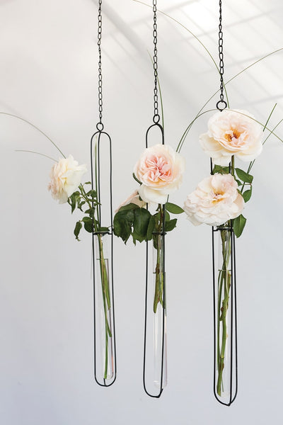 Estilo Hanger Set of 12 by Accent Decor