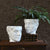 HomArt Juno Ceramic Head Cachepot - White - Set of 4-3
