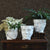 HomArt Juno Ceramic Head Cachepot - White - Set of 4 - Feature Image | Modishstore | Planters, Troughs & Cachepots