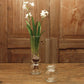 HomArt Bulb Vase - Clear | Modishstore | Vases