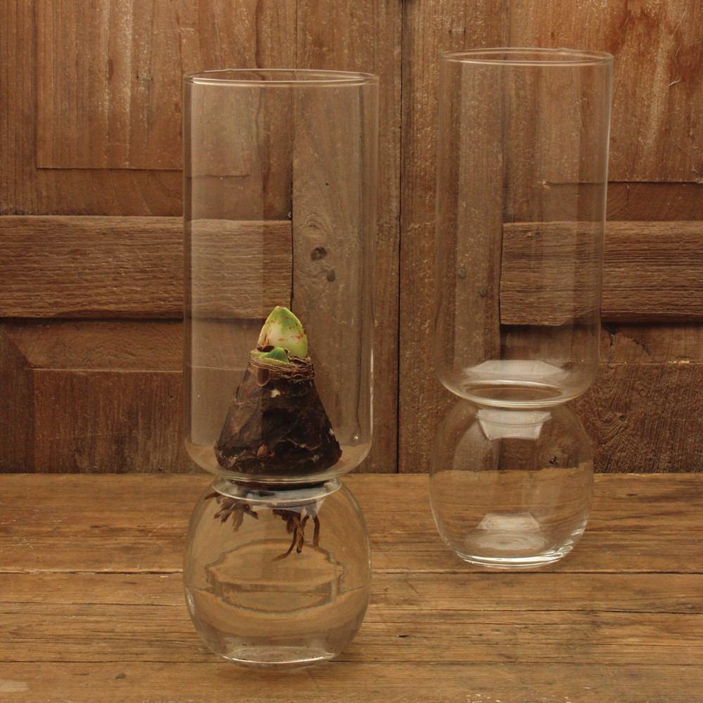 HomArt Bulb Vase - Clear-4