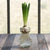 HomArt Bulb Vase - Recycled - Set of 6-8