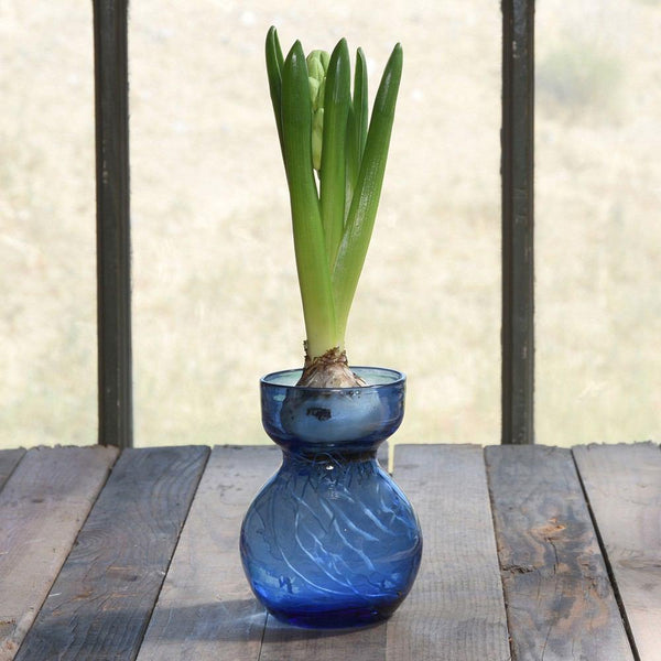 HomArt Bulb Vase - Recycled - Set of 6-10