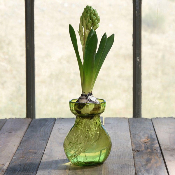 HomArt Bulb Vase - Recycled - Set of 6-11