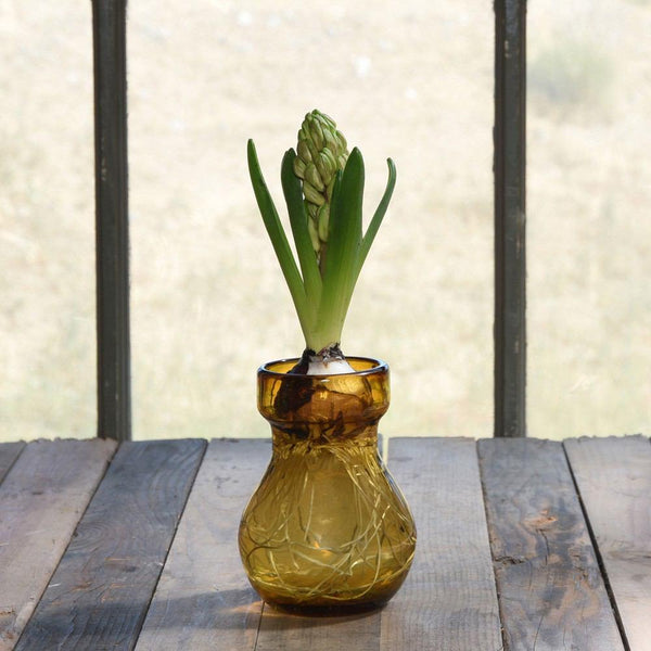 HomArt Bulb Vase - Recycled - Set of 6-12