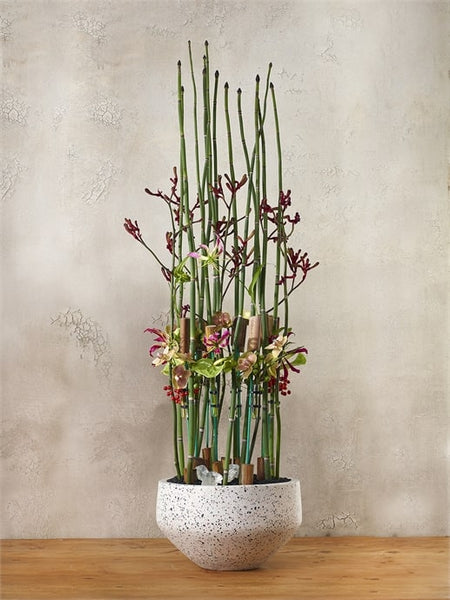 Razzo Collection Bowl Set of 2 by Accent Decor