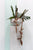 Razzo Collection Bowl Set of 2 by Accent Decor