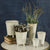 HomArt Rue Footed Ceramic Vase - Fancy White - Set of 8-4