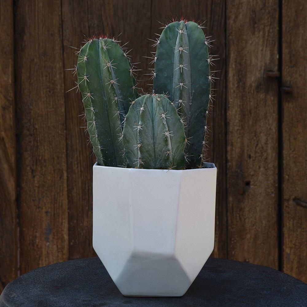 HomArt Lund Ceramic Vase - Matte White-6
