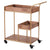 Zuo Bar Cart With Tray Brown | Bar Carts | Modishstore