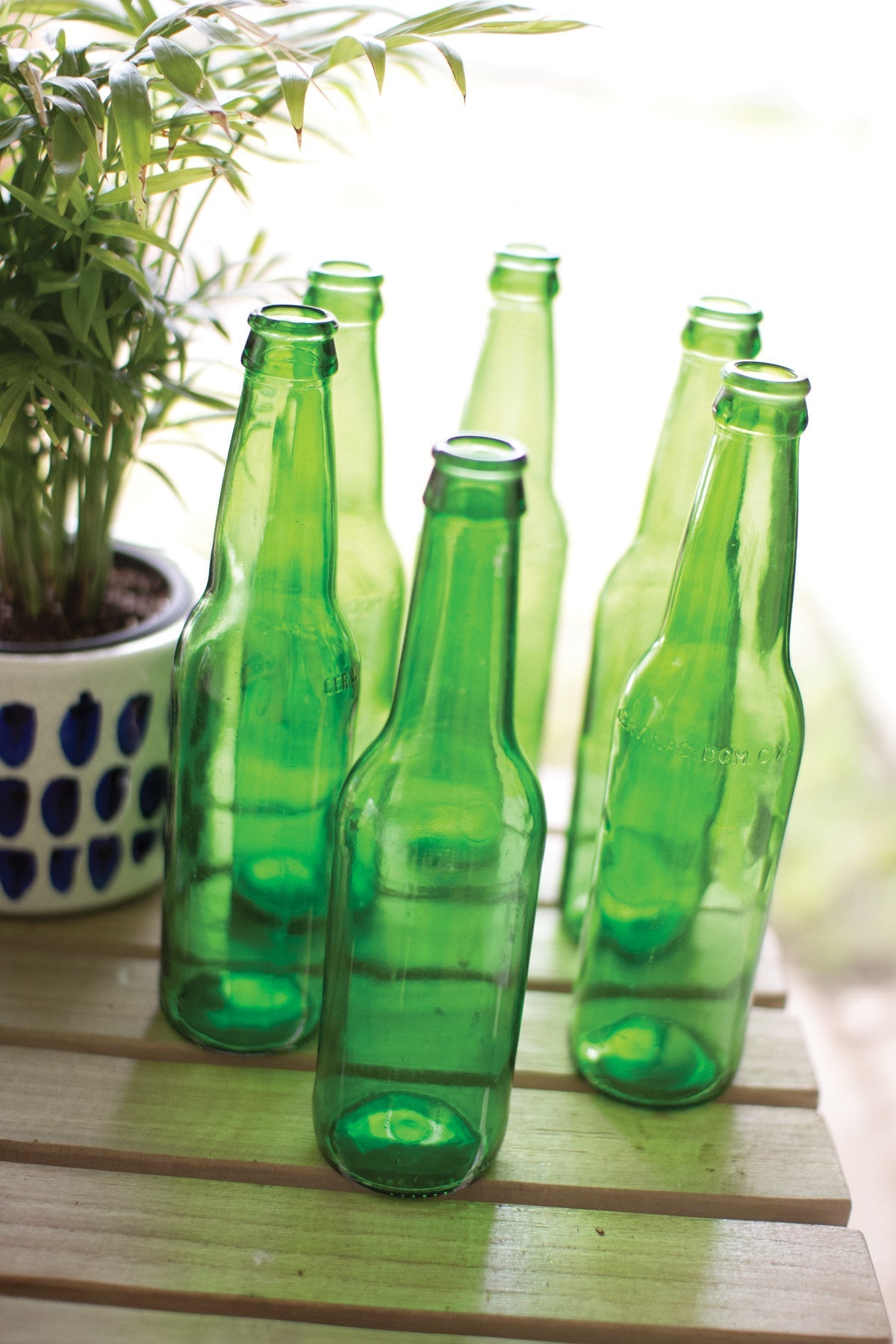 Kalalou Recycled Green Glass Bottle - Set Of 12 | Modishstore | Vases