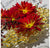 Gold Leaf Design Group Sponge Wall Sculptures | Sculptures | Modishstore-4