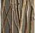 Alder Poles in Linear Planter by Gold Leaf Design Group | Botanicals | Modishstore-3