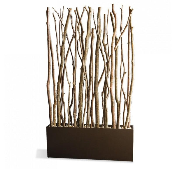 Alder Poles in Linear Planter by Gold Leaf Design Group | Botanicals | Modishstore-2
