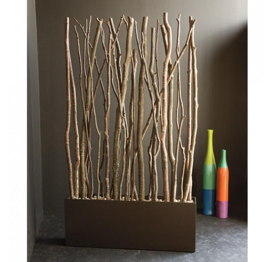 Alder Poles in Linear Planter by Gold Leaf Design Group | Botanicals | Modishstore