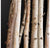 Birch Poles in Slate Veneer Planter by Gold Leaf Design Group | Botanicals | Modishstore-3