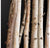 Birch Poles in Slate Veneer Planter by Gold Leaf Design Group | Botanicals | Modishstore-3