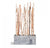 Birch Poles in Slate Veneer Planter by Gold Leaf Design Group | Botanicals | Modishstore