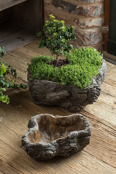 Vagabond Vintage Cement  Planter,Burled Bark - Set of 2 | Modishstore | Planters, Troughs & Cachepots