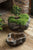 Vagabond Vintage Cement  Planter,Burled Bark - Set of 2 | Modishstore | Planters, Troughs & Cachepots