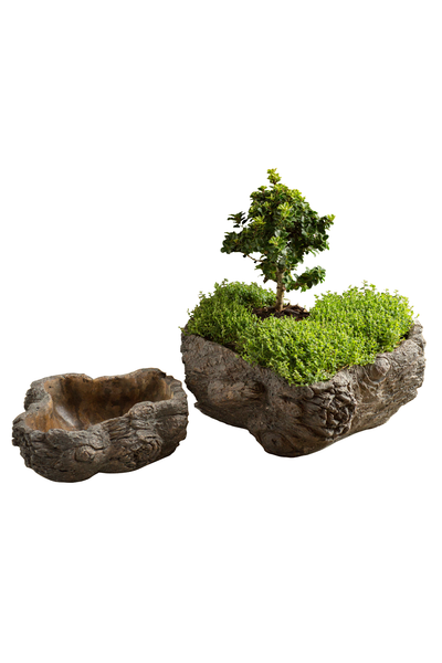 Vagabond Vintage Cement  Planter,Burled Bark - Set of 2 | Modishstore | Planters, Troughs & Cachepots-2
