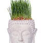 Vagabond Vintage Cement Buddha Head Planter - Set Of 2 | Modishstore | Planters, Troughs & Cachepots-2